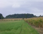 krohrbusch_09_07_7